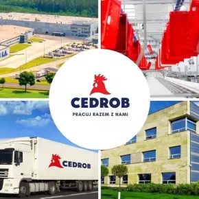Młodszy specjalista ds. technologii w dziale technologii i wdrożeń - Ujazdówek
